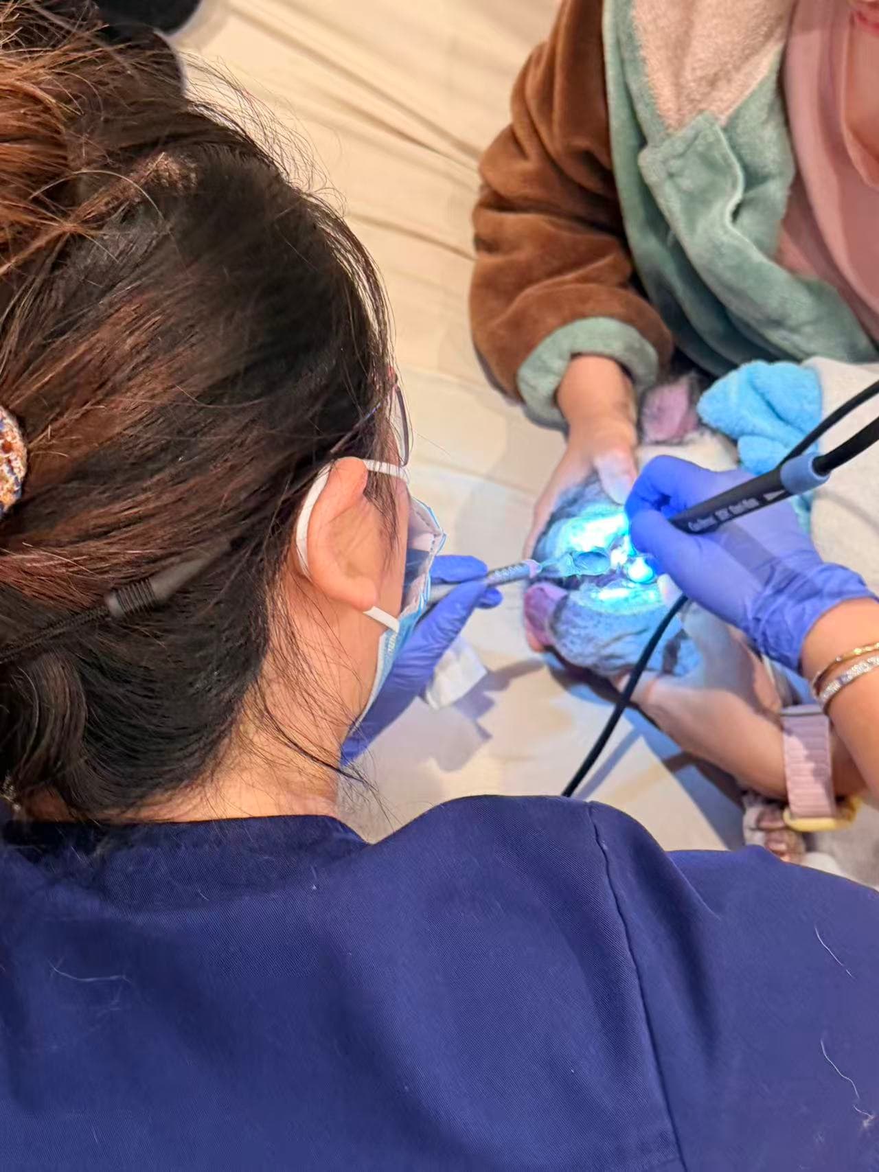 XYZ Petdental Care 🦷 background